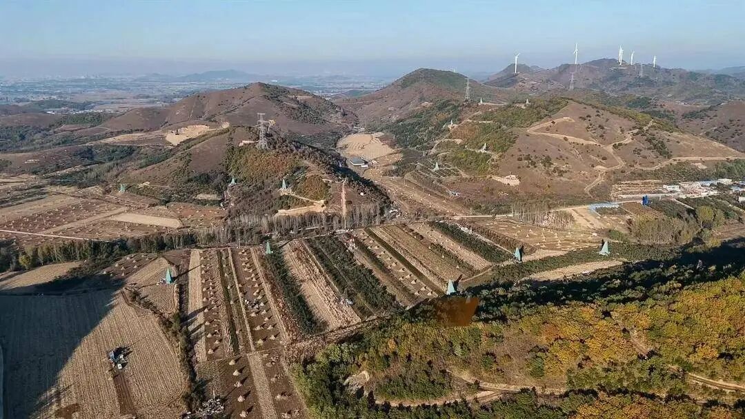 Khoan sâu 219 mũi, phát hiện mỏ vàng lớn trữ lượng gần 1.500 tấn sau hơn 40 năm khảo sát- Ảnh 2.