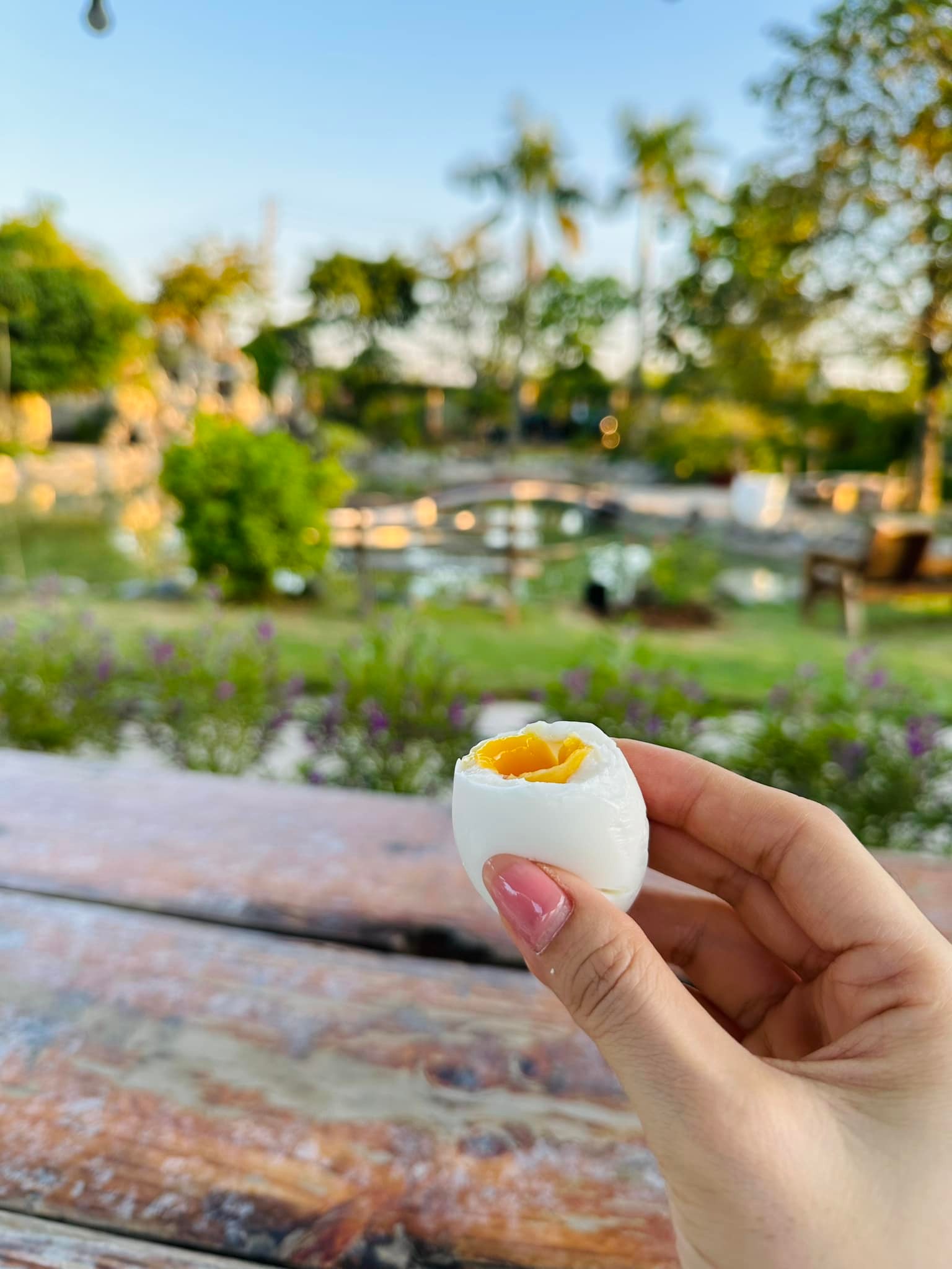 Chuyện ăn uống của Mỹ Tâm gây bất ngờ lớn- Ảnh 21.