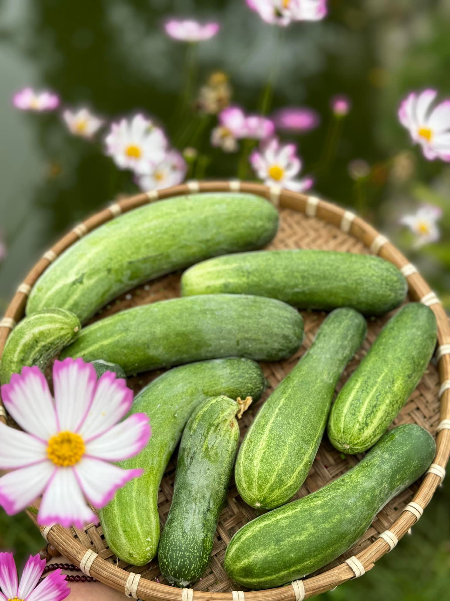 Chuyện ăn uống của Mỹ Tâm gây bất ngờ lớn- Ảnh 15.