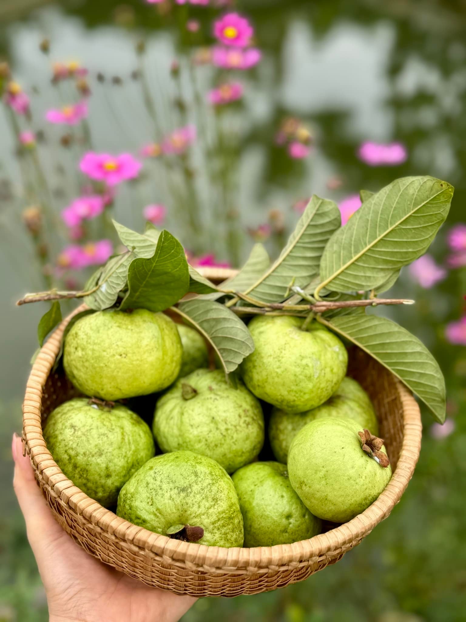 Chuyện ăn uống của Mỹ Tâm gây bất ngờ lớn- Ảnh 16.