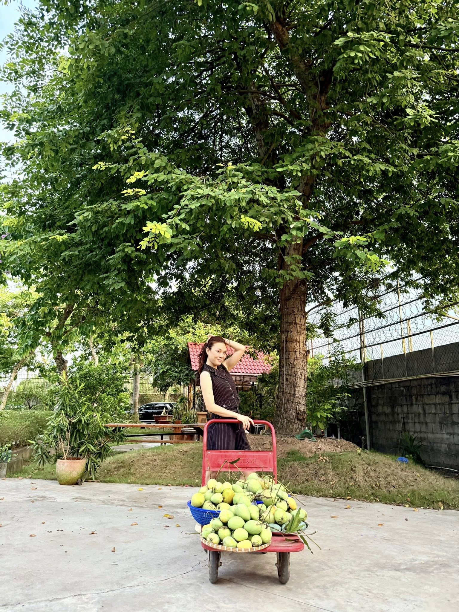 Chuyện ăn uống của Mỹ Tâm gây bất ngờ lớn- Ảnh 3.