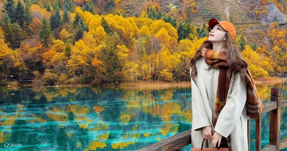 Khách Việt kể chuyện du lịch điểm nổi tiếng ở Trung Quốc, nhận xét: Khách Việt kể chuyện du lịch điểm nổi tiếng ở Trung Quốc, nhận xét: