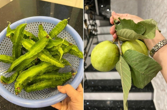 "Nữ hoàng dân ca" Việt ở biệt thự 20 tỷ đồng- Ảnh 12.