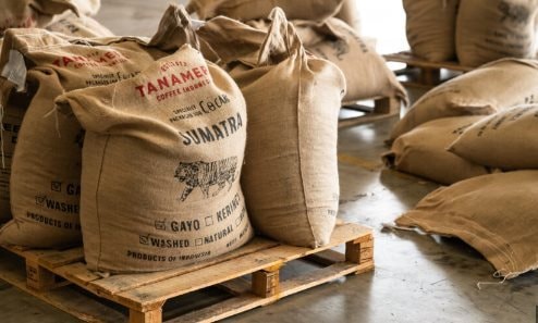 Hàng chục nghìn tấn "sản vật tỷ USD" từ VN ồ ạt sang láng giềng của Mỹ: Nước ta đang Top 2 thế giới- Ảnh 1.