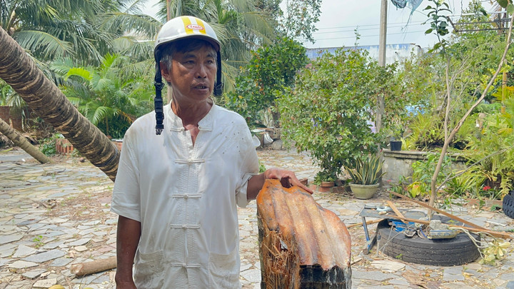Chủ nhân 'cây dừa bị tôn bay chém đứt thân' trong bão số 13 nói gì?- Ảnh 1.