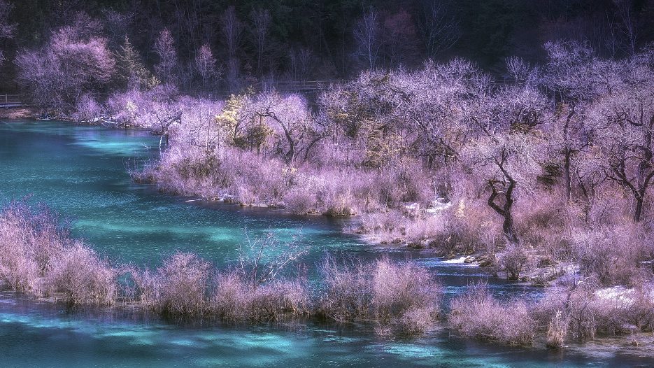 Khách Việt kể chuyện du lịch điểm nổi tiếng ở Trung Quốc, nhận xét: Khách Việt kể chuyện du lịch điểm nổi tiếng ở Trung Quốc, nhận xét: