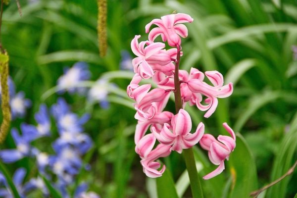 Ông bà dặn Ông bà dặn