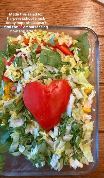 David Beckham đã làm gì mà phải mong "út cưng" Harper không ngại vì cô bé năm nay 14 tuổi rồi?- Ảnh 1.