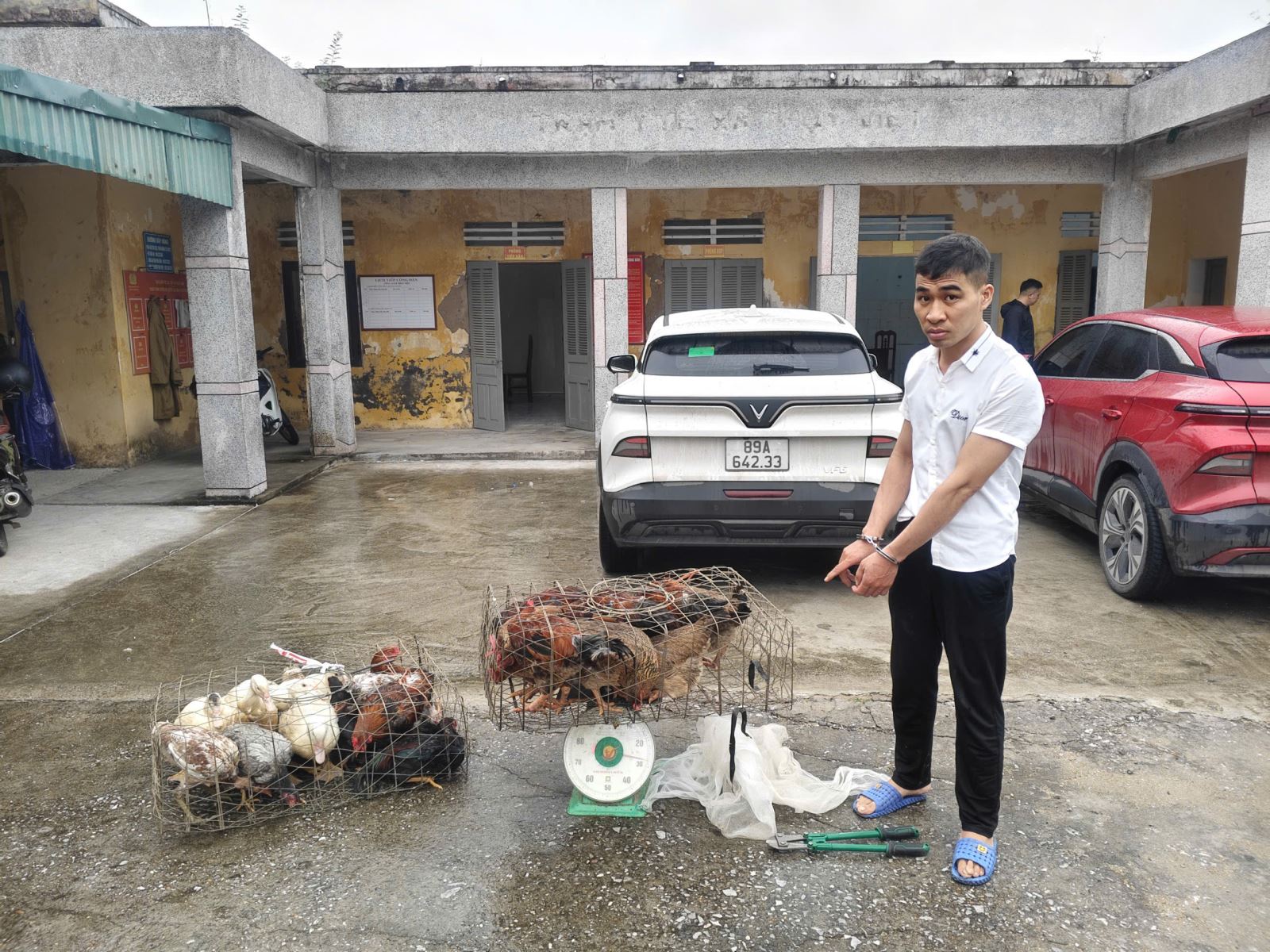 Bắt Lê Khánh Thành cùng 10 con gà và 3 con ngan- Ảnh 1.