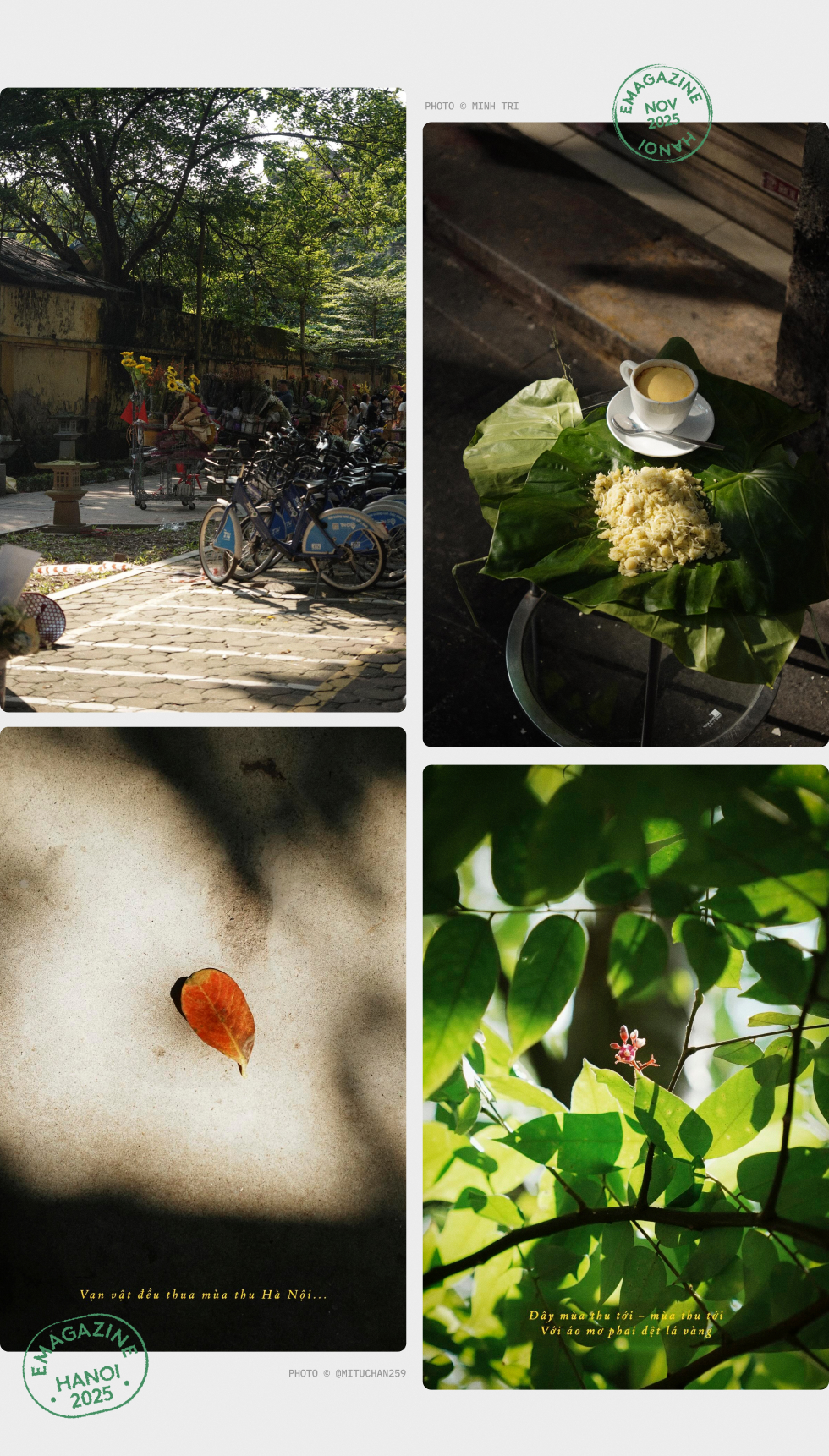 Vạn vật thua Hà Nội ngày trở lạnh- Ảnh 6.