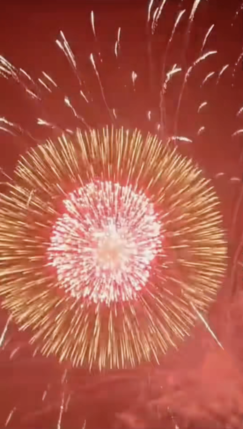 Tình trạng “đáng báo động” của khách Tây khi thử đặc sản Việt Nam- Ảnh 7.