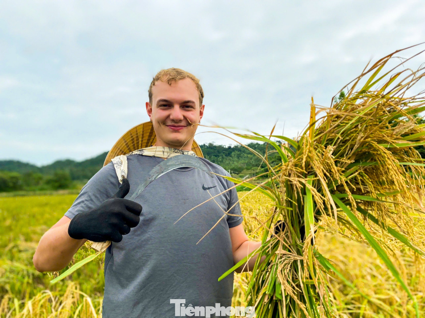 Du khách gặt lúa, bắt cua: 'Tuyệt vời hơn bất cứ tour nào tôi từng tham gia'- Ảnh 4.