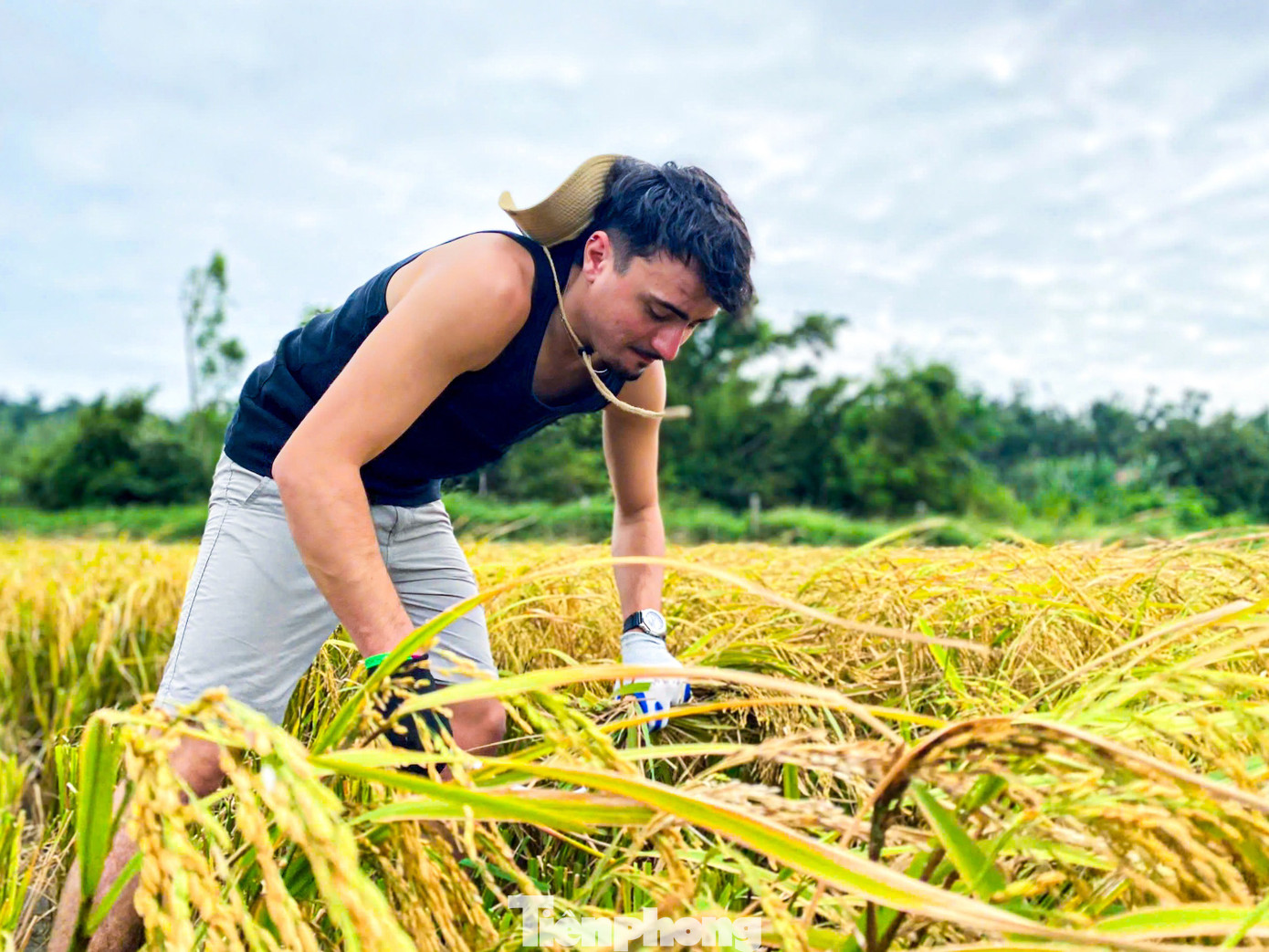 Du khách gặt lúa, bắt cua: 'Tuyệt vời hơn bất cứ tour nào tôi từng tham gia'- Ảnh 7.