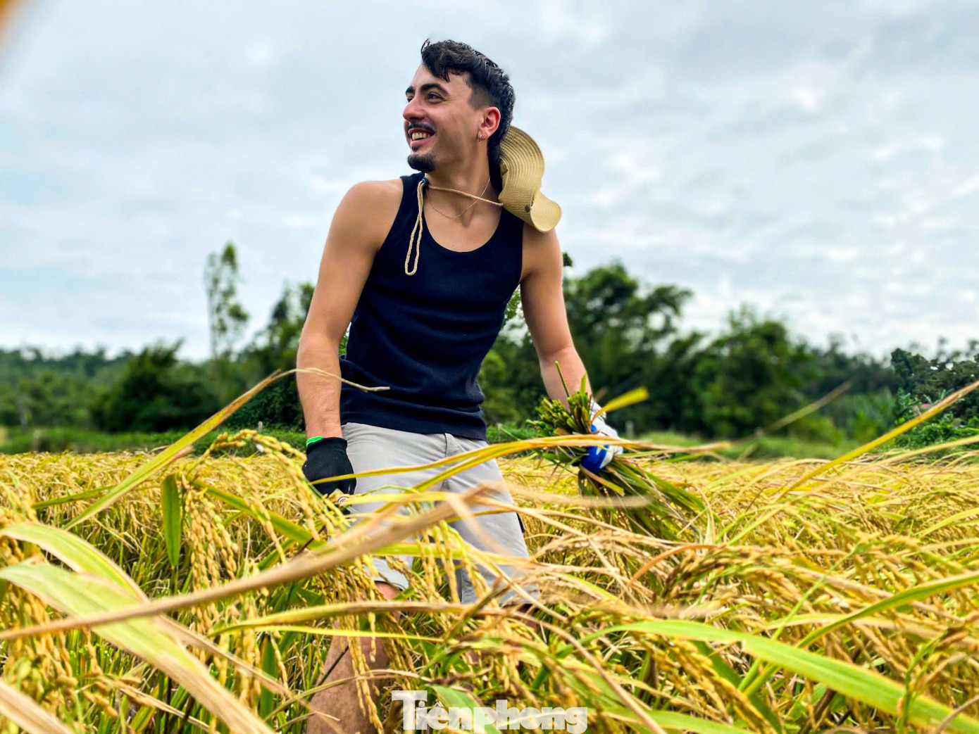 Du khách gặt lúa, bắt cua: 'Tuyệt vời hơn bất cứ tour nào tôi từng tham gia'- Ảnh 2.