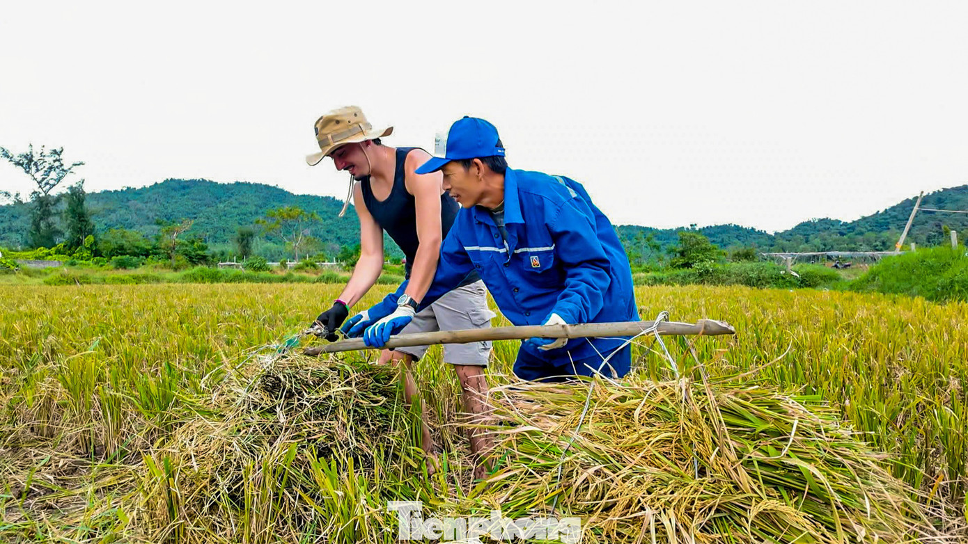 Du khách gặt lúa, bắt cua: 'Tuyệt vời hơn bất cứ tour nào tôi từng tham gia'- Ảnh 9.