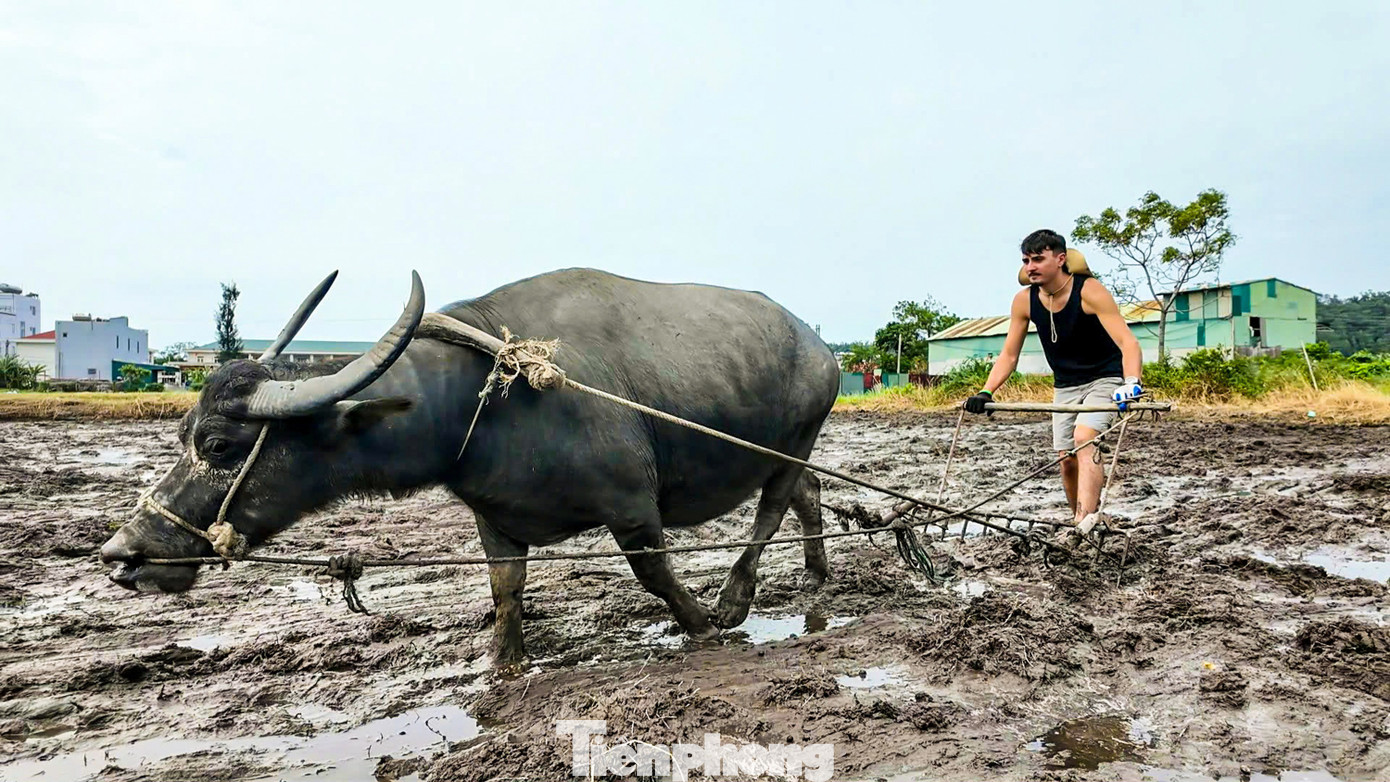 Du khách gặt lúa, bắt cua: 'Tuyệt vời hơn bất cứ tour nào tôi từng tham gia'- Ảnh 6.