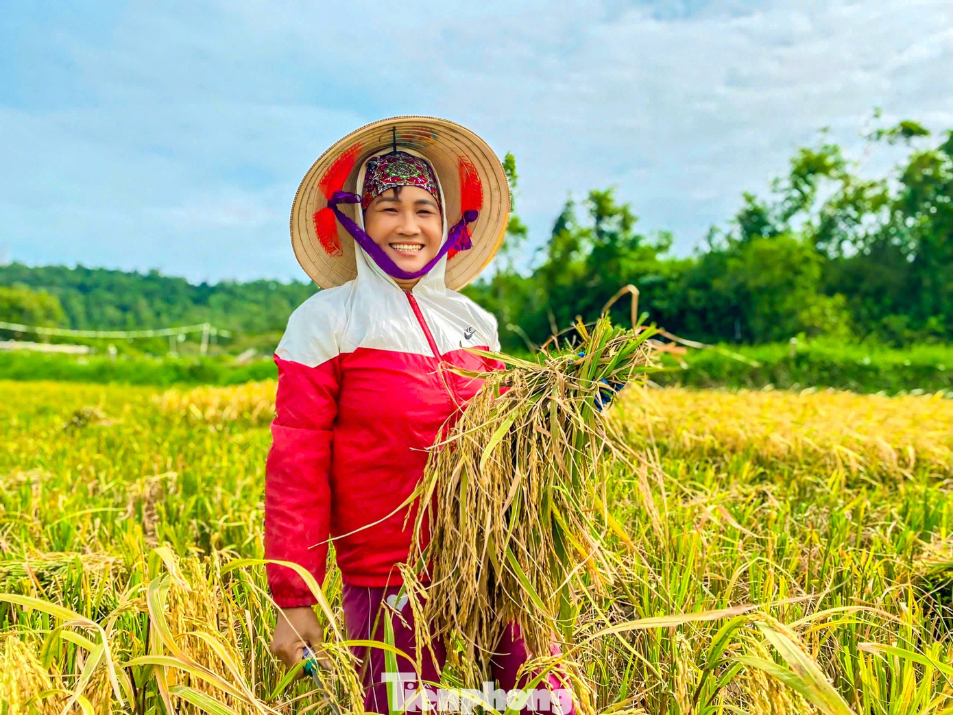 Du khách gặt lúa, bắt cua: 'Tuyệt vời hơn bất cứ tour nào tôi từng tham gia'- Ảnh 5.