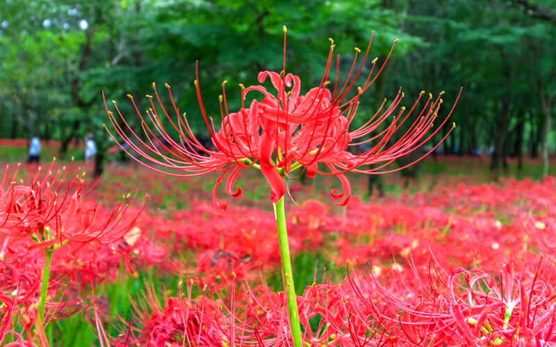 Ông bà dặn Ông bà dặn