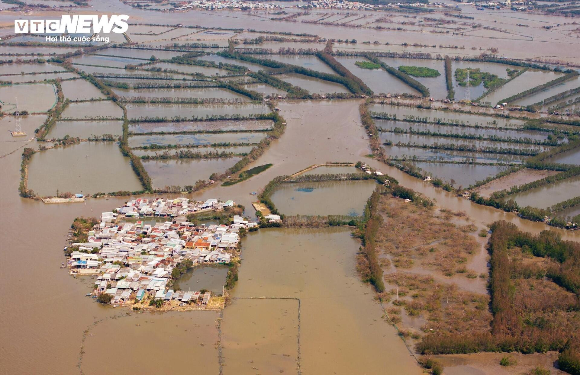 ‘Ốc đảo xanh’ tại Gia Lai sau bão Kalmaegi: Người mất nhà, chim mất tổ- Ảnh 1.