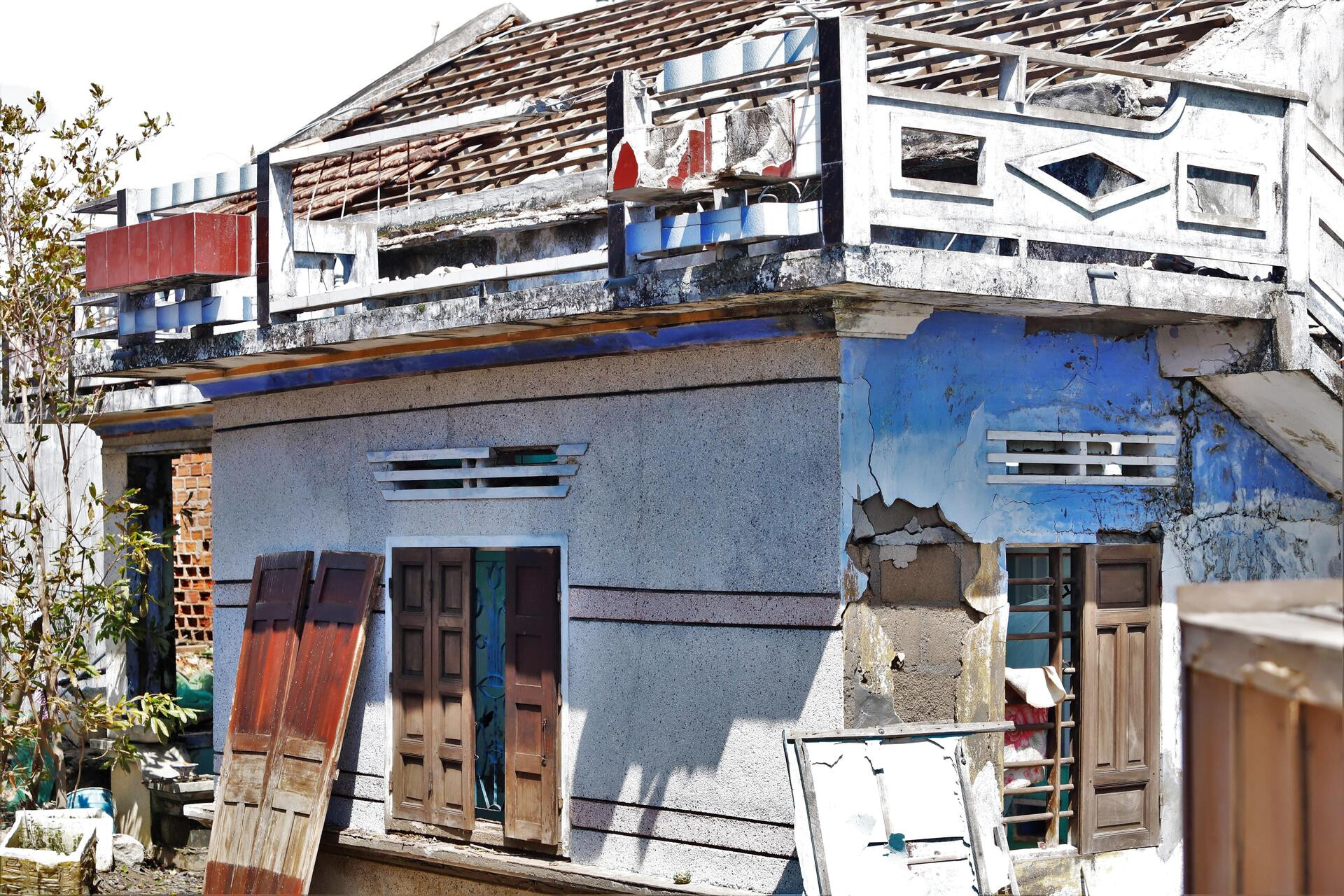 ‘Ốc đảo xanh’ tại Gia Lai sau bão Kalmaegi: Người mất nhà, chim mất tổ- Ảnh 3.