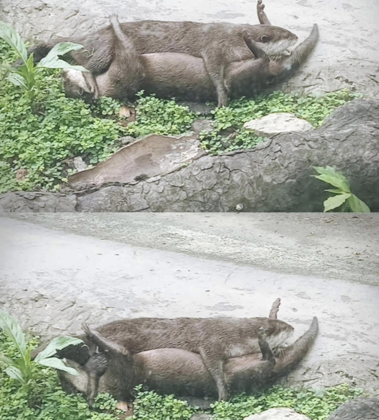 Không ngờ tới những Không ngờ tới những