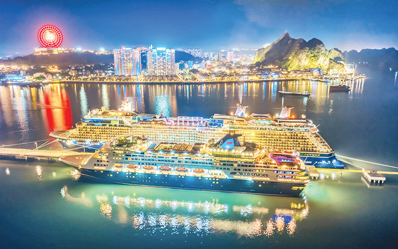 Lần đầu tiên Việt Nam ghi nhận một kỷ lục chưa từng có- Ảnh 2. Lần đầu tiên Việt Nam ghi nhận một kỷ lục chưa từng có- Ảnh 2.