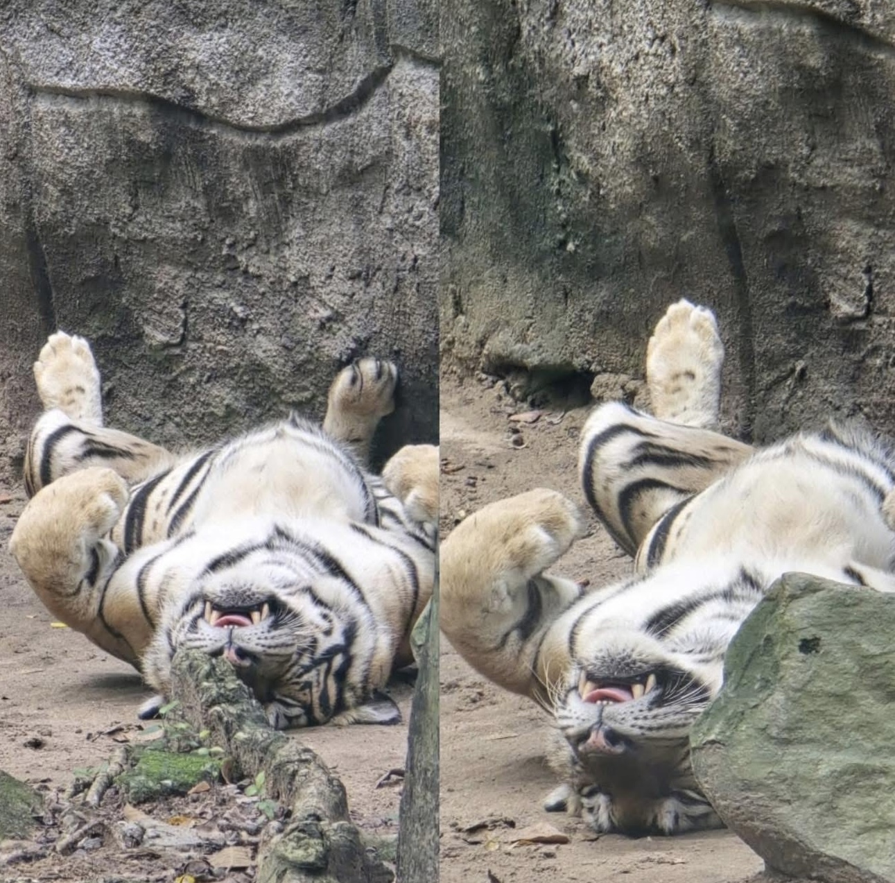 Không ngờ tới những Không ngờ tới những