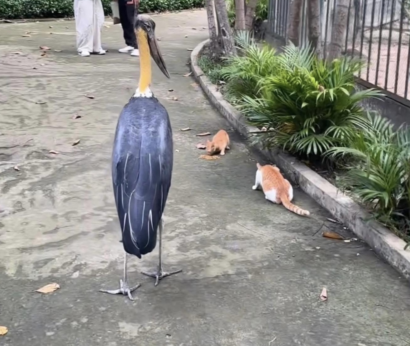 Không ngờ tới những Không ngờ tới những