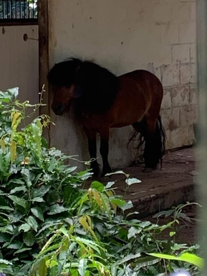 Không ngờ tới những Không ngờ tới những