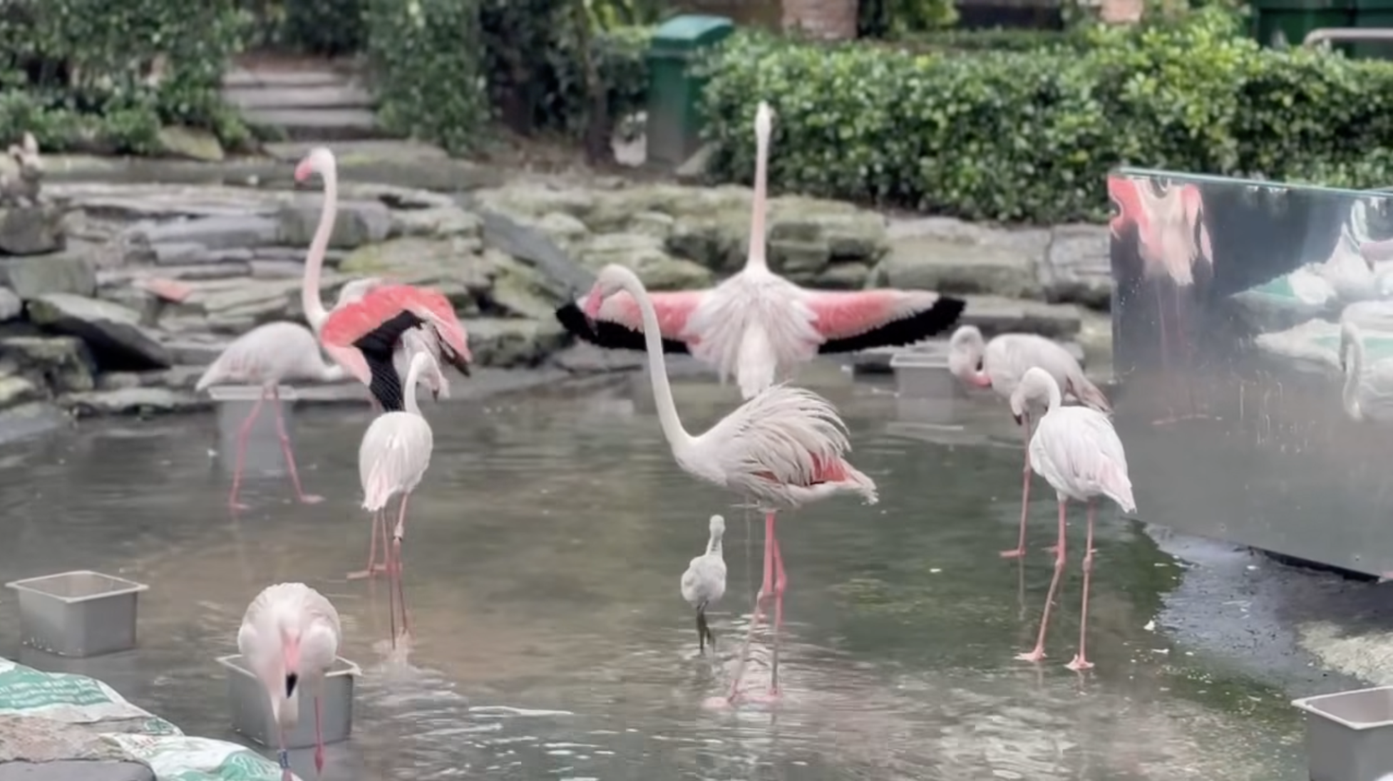 Không ngờ tới những Không ngờ tới những