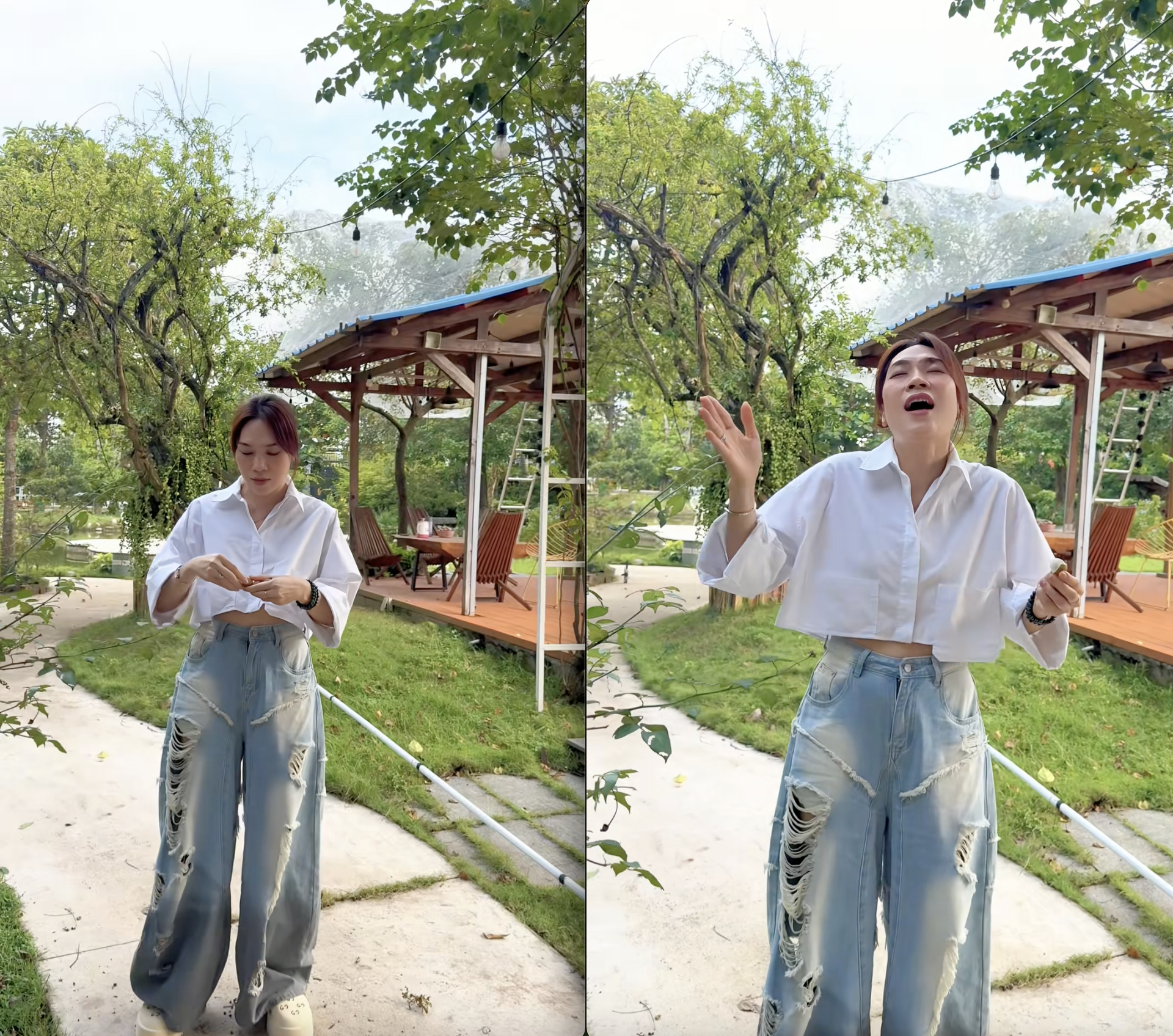 Mỹ Tâm khoe "tài sản khủng", có tiền chưa chắc mua được- Ảnh 1. Mỹ Tâm khoe "tài sản khủng", có tiền chưa chắc mua được- Ảnh 1.