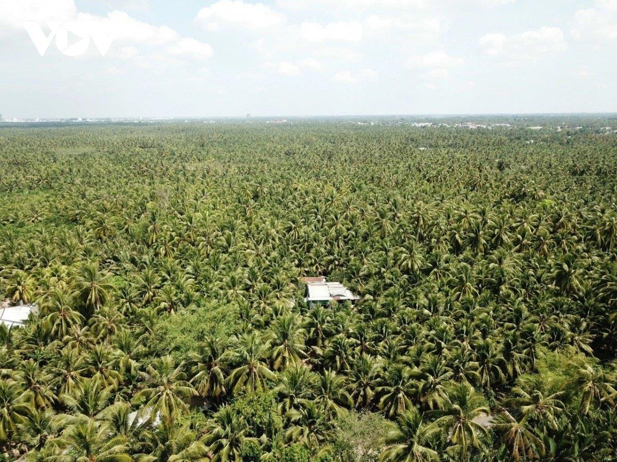 Đặc sản triệu đô của Việt Nam bất ngờ lao dốc cực mạnh: Vì sao nên nỗi?- Ảnh 3.