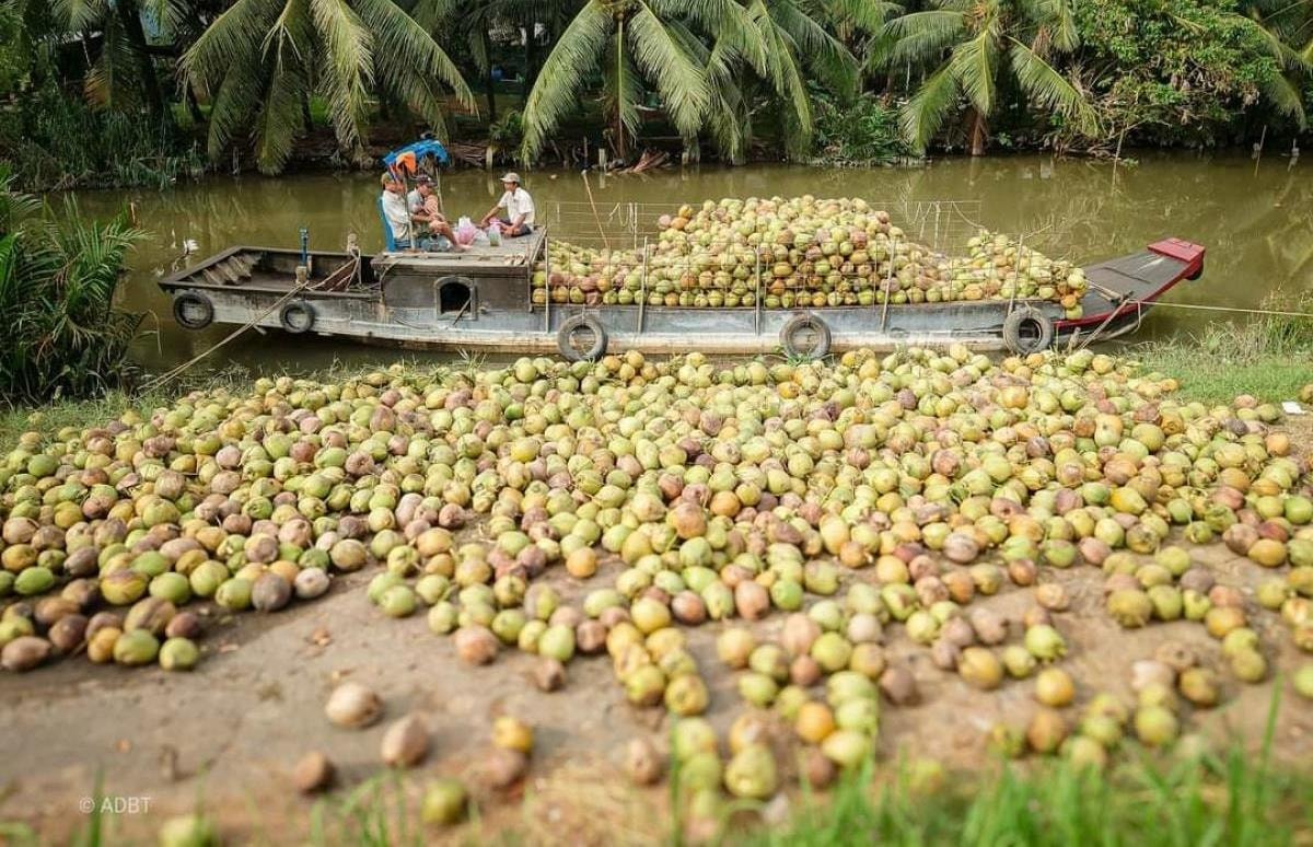 Đặc sản triệu đô của Việt Nam bất ngờ lao dốc cực mạnh: Vì sao nên nỗi?- Ảnh 1.