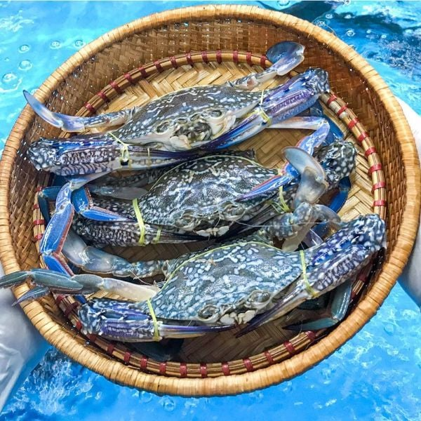 Ghẹ đỏ - ghẹ xanh khác gì nhau? Đi chợ phải nhớ 3 mẹo này để chọn hàng chất lượng- Ảnh 1. Ghẹ đỏ - ghẹ xanh khác gì nhau? Đi chợ phải nhớ 3 mẹo này để chọn hàng chất lượng- Ảnh 1.