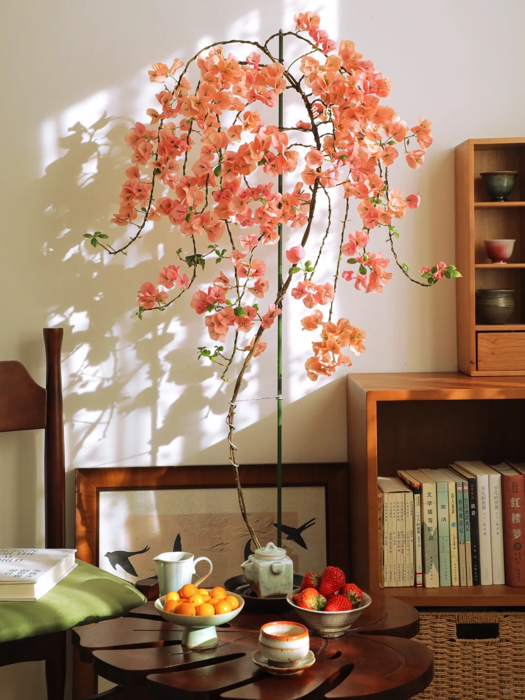 Tết 2026 có nên tậu một chậu hoa giấy bonsai về chưng nhà? Câu trả lời khiến ai yêu cây cũng “xiêu lòng”- Ảnh 34.