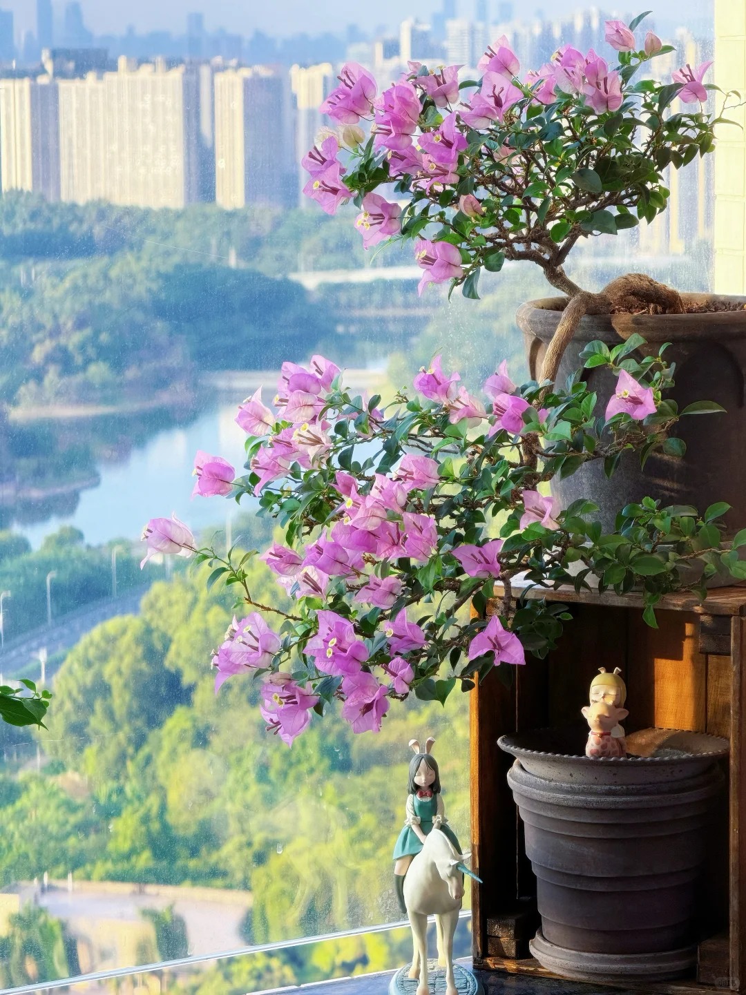 Tết 2026 có nên tậu một chậu hoa giấy bonsai về chưng nhà? Câu trả lời khiến ai yêu cây cũng “xiêu lòng”- Ảnh 22.