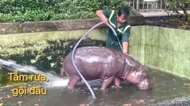 Không ngờ tới những Không ngờ tới những