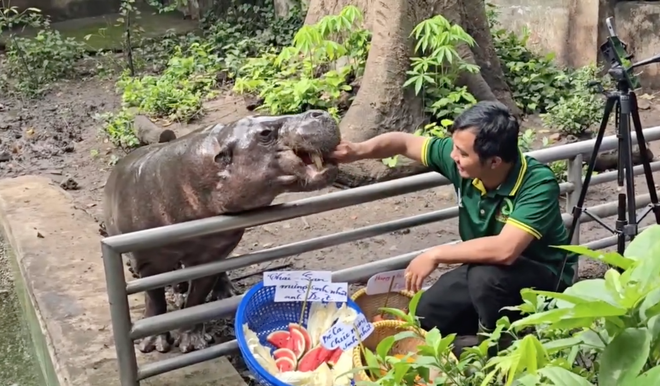 Không ngờ tới những Không ngờ tới những