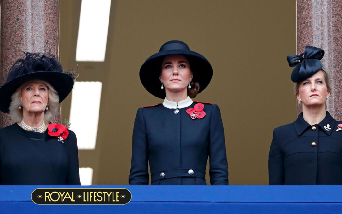 Cộng đồng fan hoàng gia nổi trận lôi đình vì Vương phi Kate bị "xúc phạm" ngay trên sóng trực tiếp- Ảnh 2.