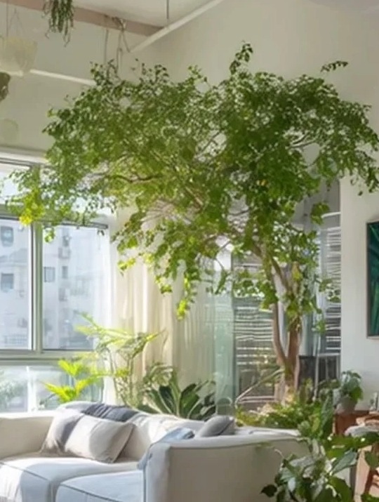 Bức ảnh chụp phòng khách viral MXH: Cảm giác Bức ảnh chụp phòng khách viral MXH: Cảm giác