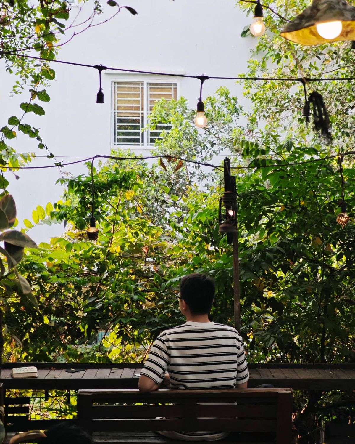 Ở thành phố mệt quá thì về quê- Ảnh 4.