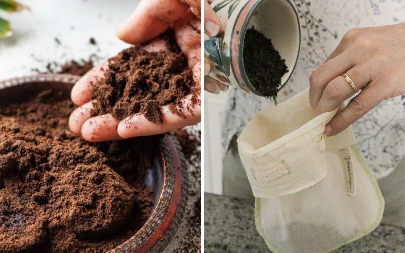 Loại bã đồ uống ai cũng bỏ đi lại là Loại bã đồ uống ai cũng bỏ đi lại là