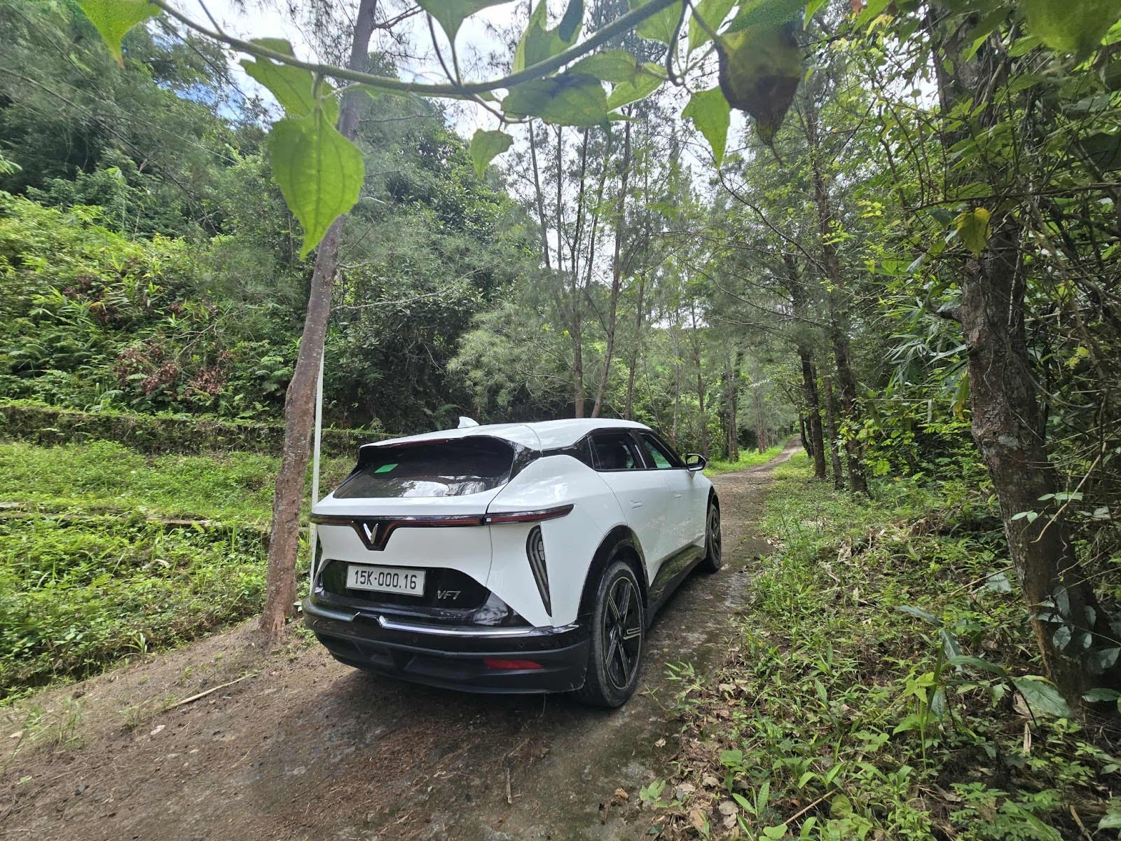 Gần chục đời xe xăng dầu chuyển sang xe điện là yêu ngay lập tức: 'Lái hay như BMW, bán lại không lo lỗ'- Ảnh 4.