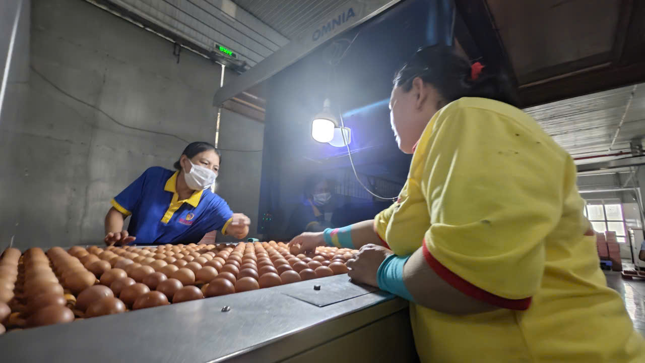 Ba Huân bị cưỡng chế ngừng thủ tục hải quan vì nợ thuế hơn 51 tỉ đồng, người trong cuộc nói gì?- Ảnh 1. Ba Huân bị cưỡng chế ngừng thủ tục hải quan vì nợ thuế hơn 51 tỉ đồng, người trong cuộc nói gì?- Ảnh 1.