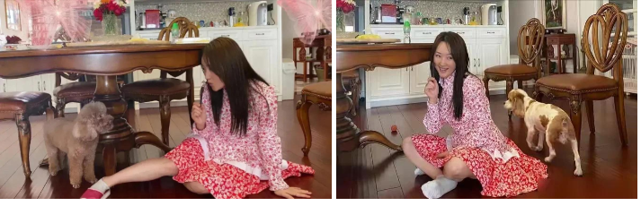 Căn nhà của Dương Vũ Anh, 53 tuổi, gây sốt: Decor sân vườn, bếp nhỏ, góc đọc sách đẹp như tạp chí- Ảnh 6.