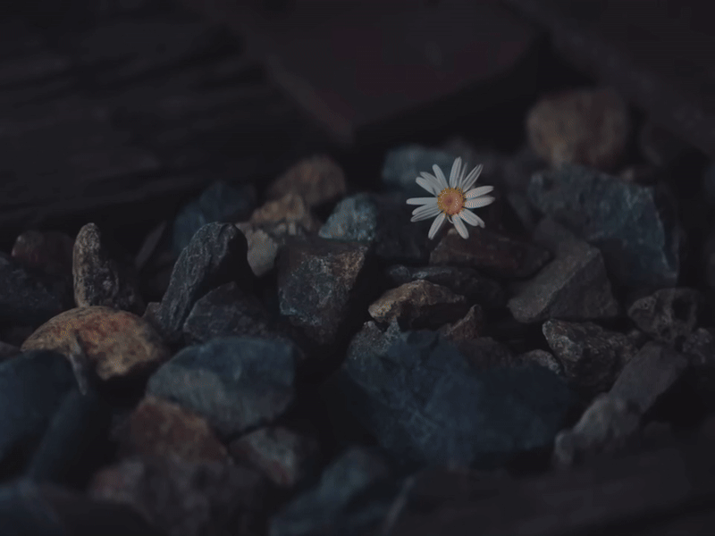 Chục lần chết đi sống lại cũng không thể cứu Katy Perry khỏi cảnh hết thời- Ảnh 4.