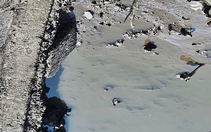 Phát hiện bộ hài cốt trong ao nuôi cá của người dân Hải Phòng