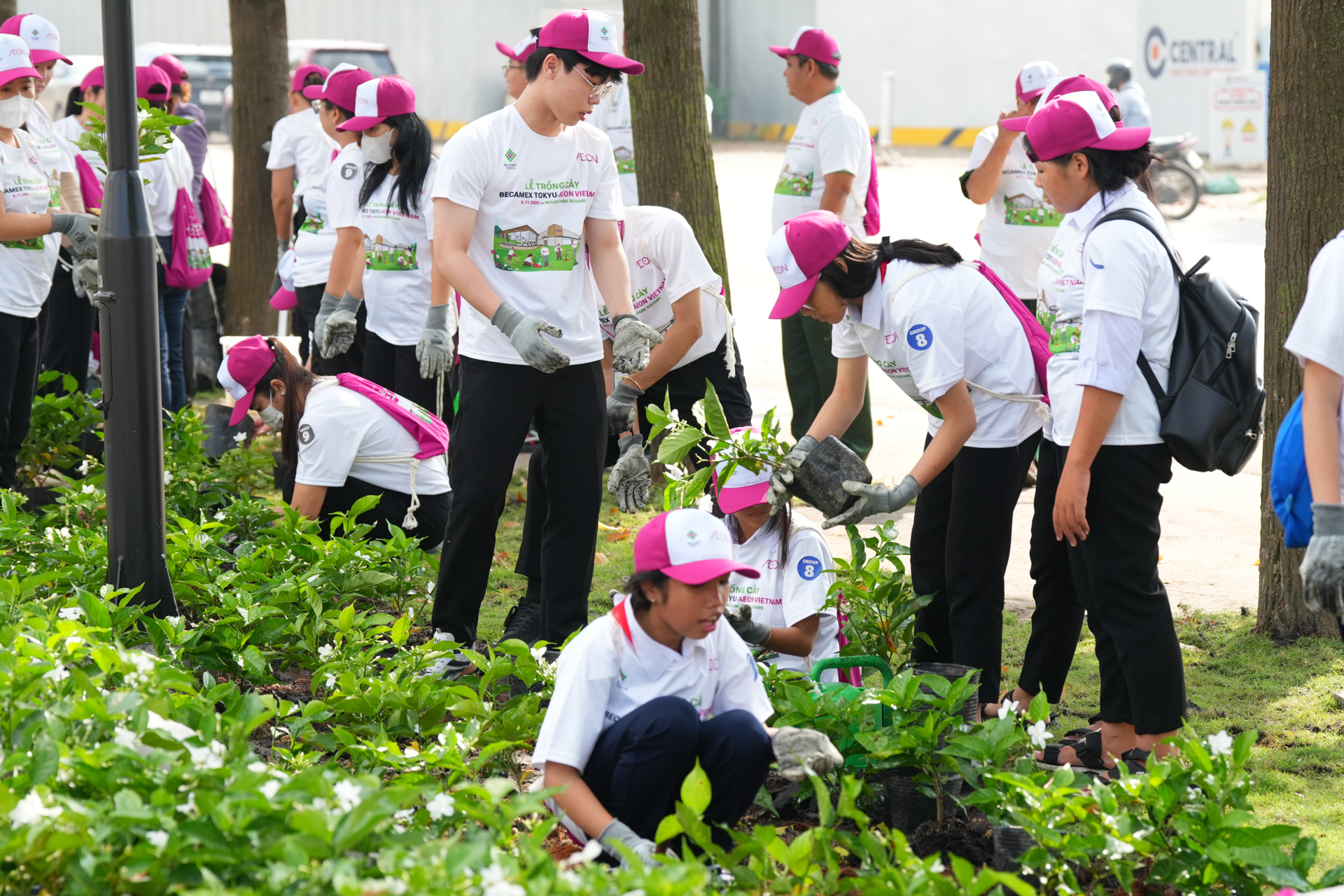 BECAMEX TOKYU và AEON Việt Nam tổ chức ngày hội trồng cây “cánh rừng quê hương” tại MIDORI PARK SQUARE- Ảnh 2.