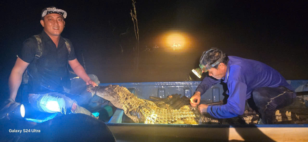 Hốt hoảng khi cá sấu dài 2m dính lưới trên sông Cái Cỏ ở Tây Ninh- Ảnh 2.