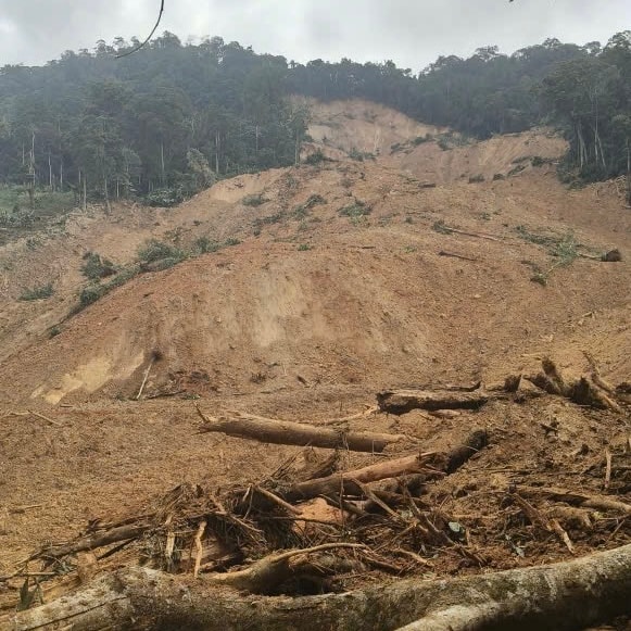 Lở núi ở Đà Nẵng: Nghi vợ chồng công an viên và 1 người dân bị vùi lấp- Ảnh 1. Lở núi ở Đà Nẵng: Nghi vợ chồng công an viên và 1 người dân bị vùi lấp- Ảnh 1.